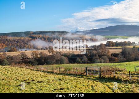 Nebel entlang des Flusses Spey im November. Morayshire, Schottland Stockfoto