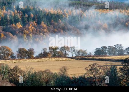 Nebel entlang des Flusses Spey im November. Morayshire, Schottland Stockfoto