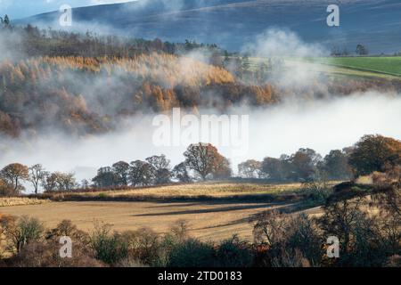 Nebel entlang des Flusses Spey im November. Morayshire, Schottland Stockfoto