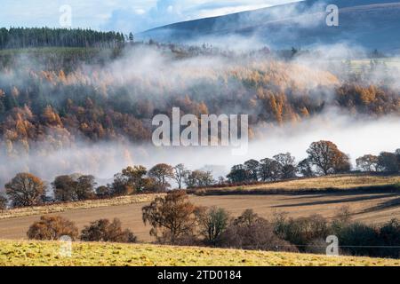 Nebel entlang des Flusses Spey im November. Morayshire, Schottland Stockfoto