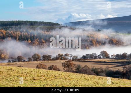 Nebel entlang des Flusses Spey im November. Morayshire, Schottland Stockfoto