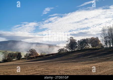 Baumsilhouetten im Nebel entlang des Flusses Spey im November. Morayshire, Schottland Stockfoto