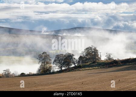 Baumsilhouetten im Nebel entlang des Flusses Spey im November. Morayshire, Schottland Stockfoto