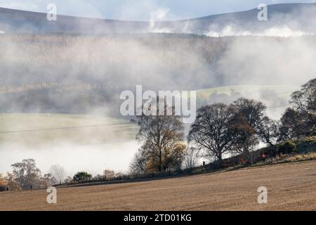 Baumsilhouetten im Nebel entlang des Flusses Spey im November. Morayshire, Schottland Stockfoto