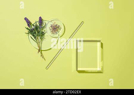 Lavendelblüten werden auf einem pastellfarbenen Hintergrund mit einem Glaspodium, einer Petrischale und einem Glasstab dargestellt. Leeres Feld für die Anzeige von Produkten, die la enthalten Stockfoto