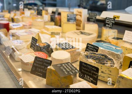Eine Käsetheke in einem spezialisierten lokalen Lebensmittelgeschäft mit einer tollen Auswahl an Käse. Stockfoto
