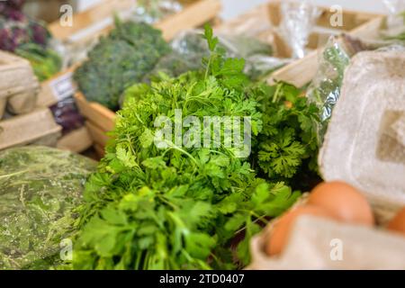 Bauernmarkt, Petersilie, Eier und frische Kräuter in einem bunten Haufen frischer Gemüse und Proteine Stockfoto