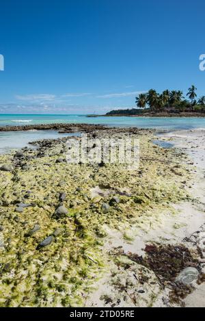 Nosy Bè die wunderschöne kleine Insel Madagaskar, die aus zwei Inseln besteht Stockfoto