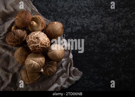 Scheißpilz auf schwarzem Hintergrund. Stockfoto