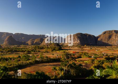 Tobacco Area Valley de Vinales, Pinar del Rio, Kuba. Stockfoto