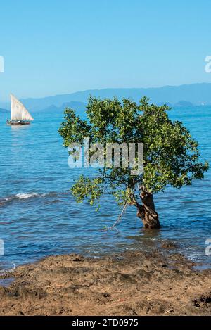 Nosy Bè die wunderschöne kleine Insel Madagaskar, die aus zwei Inseln besteht Stockfoto