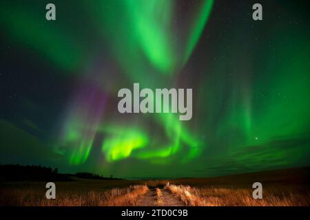 Atemberaubende Darstellung der aurora Borealis, die den Nachthimmel über einer zerklüfteten isländischen Landschaft mit leuchtendem Grün und Lila erleuchtet Stockfoto