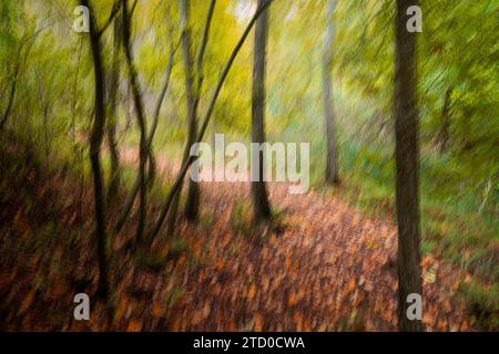 Eine verschwommene Vision eines Waldweges, der mit Herbstlaub bedeckt ist und ein Gefühl von Geheimnis und Ruhe weckt Stockfoto