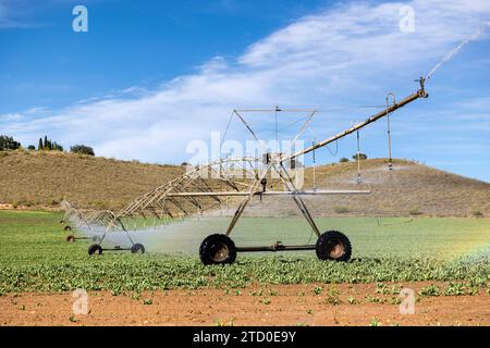 Center Pivot Bewässerungssystem zur Bewässerung von Erntegut an einem sonnigen Tag mit moderner Landwirtschaftstechnologie. Stockfoto