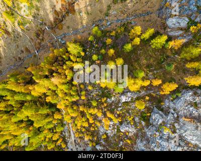 Von oben nach unten aus der Vogelperspektive, die die lebhaften Farben eines Herbstwaldes mit felsigem Gelände verwoben und die Texturen der Natur zeigen. Stockfoto