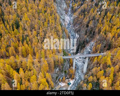 Vogelperspektive mit einer Brücke, die sich über einen Wald mit goldenen Herbstblättern in der Schweiz erstreckt Stockfoto