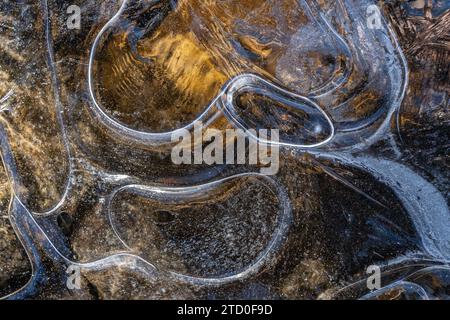 Eine Nahaufnahme zeigt das wunderschöne Zusammenspiel zwischen zartem Eismuster und üppigem goldenem Boden. Stockfoto