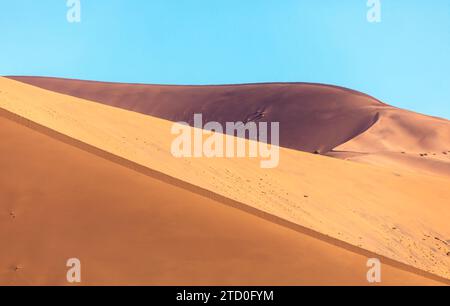 Majestätischer Blick auf den beeindruckenden Kontrast in der namibischen Wüste, wo die scharfe Kante einer Sanddüne einen definitiven Schatten wirft und eine visuelle Trennung schafft Stockfoto
