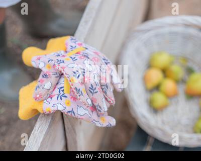 Hochwinkelansicht von Paar gemusterten Gartenhandschuhen auf Holzzaun im Garten gegen verschwommenen Korb mit Früchten Stockfoto