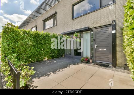 Pflanzen wachsen im Vorhof eines modernen Hauses mit geschlossener Tür und Glasfenstern an hellen sonnigen Tagen Stockfoto