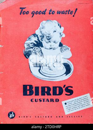 Eine Werbung für Bird's Vanillepudding, eine beliebte Puderpudding ohne Eier, aus dem Jahr 1941 in einer Ausgabe des Magazins „Illustrated“ Stockfoto