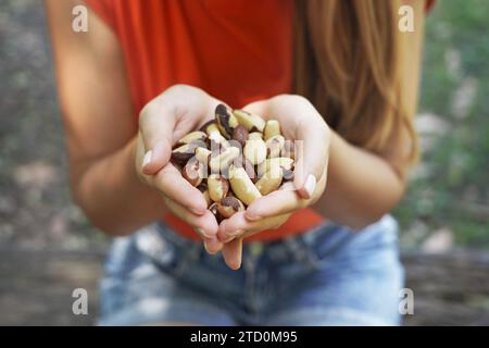 Paranüsse. Nahaufnahme weiblicher Hände, die Paranüsse halten. Im Freien. Stockfoto