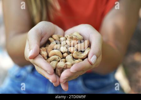 Cashewnüsse. Nahaufnahme von weiblichen Händen, die Cashewnüsse halten. Stockfoto