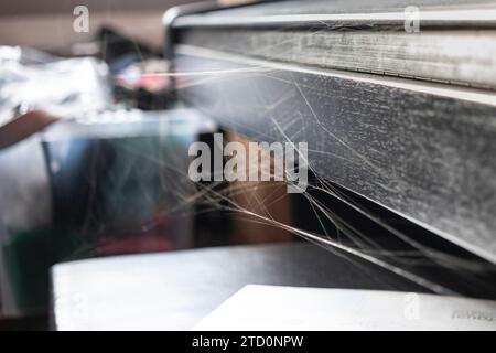 Ein Klavier wird mit Spinnweben verstreut, die von falschen Witwenspinnen gespinnen gespinnen werden Stockfoto