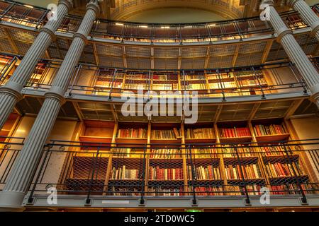 Eine Bücherwand im prächtigen ovalen Lesesaal in der Bibliothèque nationale de France, Richelieu Site, Paris, Frankreich Stockfoto