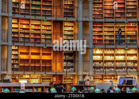 Der prächtige ovale Leseraum in der Bibliothèque nationale de France, Richelieu Site, Paris, Frankreich Stockfoto