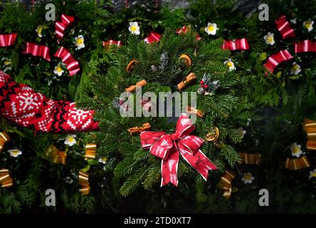 Stephen Roxburgh macht Weihnachtskränze im Blair Drummond Smiddy Farm Shop. Bilddatum: Freitag, 15. Dezember 2023. Stockfoto