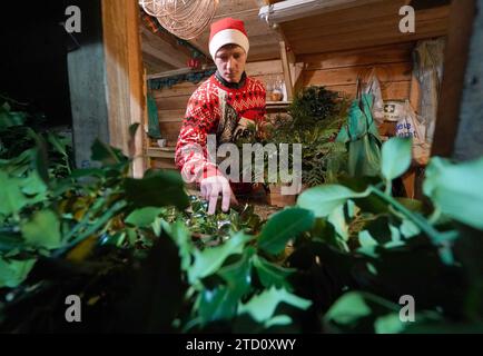 Stephen Roxburgh macht Weihnachtskränze im Blair Drummond Smiddy Farm Shop. Bilddatum: Freitag, 15. Dezember 2023. Stockfoto