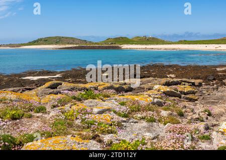 Niedrigwasser-Strand in East Porth, auf der unbewohnten Insel Teän, Isles of Scilly, Großbritannien, mit Rüben und Spargel, die in den Felsen im Vordergrund wachsen Stockfoto