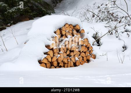 Brennholzhaufen unter dem Schnee auf der Wiese im Wald Stockfoto
