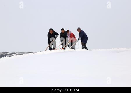 BINZHOU, CHINA - 15. DEZEMBER 2023 - Bauern reinigen Schnee aus Gemüsegewächshäusern in Binzhou, ostchinesischer Provinz Shandong, 15. Dezember 2023. Stockfoto