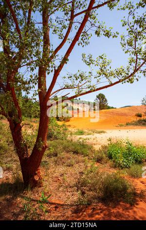 Sonnendurchflutete Szenen im provenzalischen Colorado (Le Colorado Provenzal). Vertikale Fotografie aus Südfrankreich in der Region Luberon, wo Ocker W Stockfoto