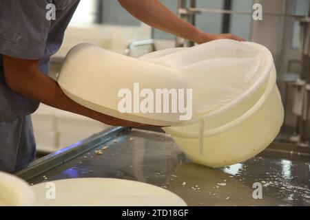 Arbeiter, der in einer modernen Fabrik frischen Käse aus der Schimmelpilze holt, Nahaufnahme Stockfoto