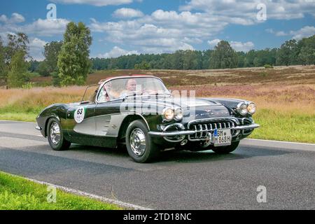 Von 10. Auto-Bild Klassik Hamburg-Berlin vom 24.-26.08.2017 Gemarkung Undeloh in der Lüneburger Heide. Im Foto: Chevrolet Corvette BJ.1961 ccm4376 PS250 *** ab 10 Auto Bild Klassik Hamburg Berlin vom 24 26 08 2017 Bezirk Undeloh in der Lüneburger Heide im Foto Chevrolet Corvette BJ 1961 ccm4376 PS250 Stockfoto