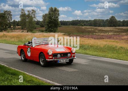 Von 10. Auto-Bild Klassik Hamburg-Berlin vom 24.-26.08.2017 Gemarkung Undeloh in der Lüneburger Heide. Im Foto: MG Midget BJ.1973 ccm1275 PS65 *** ab 10 Auto Bild Klassik Hamburg Berlin vom 24 26 08 2017 Bezirk Undeloh in der Lüneburger Heide im Foto MG Midget BJ 1973 ccm1275 PS65 Stockfoto