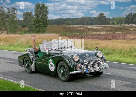 Von 10. Auto-Bild Klassik Hamburg-Berlin vom 24.-26.08.2017 Gemarkung Undeloh in der Lüneburger Heide. Im Foto: Triuph TR3A BJ.1959 ccm1991 PS100 *** ab 10 Auto Bild Klassik Hamburg Berlin vom 24 26 08 2017 Bezirk Undeloh in der Lüneburger Heide im Foto Triuph TR3A BJ 1959 ccm1991 PS100 Stockfoto