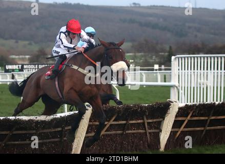 White Rhino wurde von Henry Brooke auf dem Weg zum Sieg der Citipost Handicap Hürde am ersten Tag des Weihnachtstreffens auf der Cheltenham Racecourse geritten. Bilddatum: Freitag, 15. Dezember 2023. Stockfoto