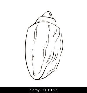 Muschelsymbol im Line-Art-Stil. Sea-Logo in Form von Shell für Design, Hemd und Paket. Vektorillustration auf weißem Hintergrund isoliert. Stock Vektor