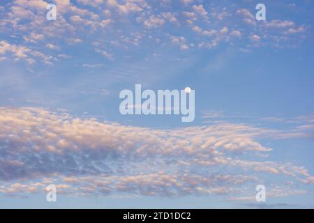 Wunderschöner Mond am blauen Himmel. Blauer Himmel mit ein paar rosa Wolken. Sommerhimmel, bewölkter blauer Himmel. Blick auf den Sonnenuntergang aus der Vogelperspektive. Abendhimmel mit Drama Stockfoto