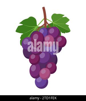 Ein Haufen lila Trauben mit Stiel und Blatt. Vektorabbildung Stock Vektor