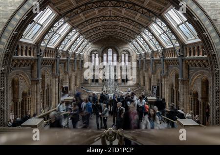 London, Großbritannien - 1. November 2023 - The Blue Whale Skeleton (Hope) Ein fossiles Skelett, das im Haupteingang des Natural History Museum gegossen wurde. Hintze Hall Stockfoto