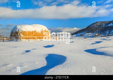 Heuballen und Schneeverwehungen unterhalb der kontinentalen Wasserscheide in der Nähe von Avon, Montana Stockfoto