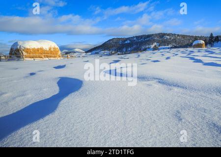 Heuballen und Schneeverwehungen unterhalb der kontinentalen Wasserscheide in der Nähe von Avon, Montana Stockfoto