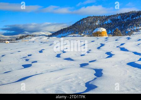 Heuballen und Schneeverwehungen unterhalb der kontinentalen Wasserscheide in der Nähe von Avon, Montana Stockfoto