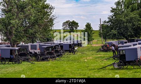 Eine große Gruppe von Amish Horse und Buggys für eine Veranstaltung in Lancaster, Pennsylvania an einem sonnigen Sommertag Stockfoto