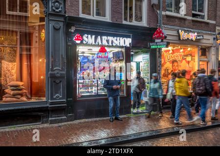Smartshop in Oude Hoogstraat, Amsterdam. Smartshops verkaufen natürliche Psychedelika, Zaubertrüffel, Vitamine, Unkrautsamen usw. Stockfoto